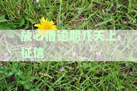 逾期借款如何处理：征信报告影响与解决办法全面解析