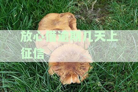 放心借逾期几天上征信可以申停催：征信逾期上报与取消全解析
