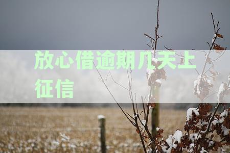 放心借逾期几天上征信