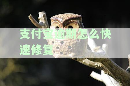 如何快速修复芝麻逾期记录，没有芝麻粒修复逾期怎么办？