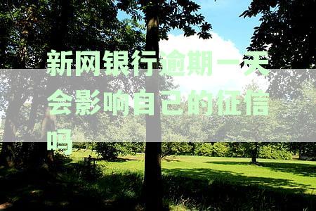 新网银行逾期一天会影响个人征信吗？如何解决？请看详细解答