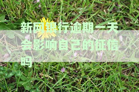 新网银行逾期几天-新网银行逾期几天上征信?