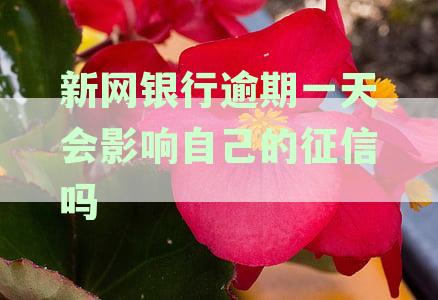新网银行逾期一天会影响自己的征信吗