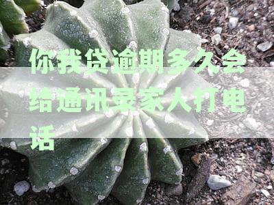 你我贷逾期通知策略：多久会联系家人及通讯录人员？