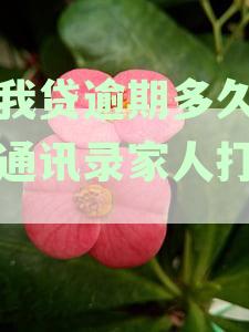 你我贷借款逾期几天打电话催收，今天给我打电话