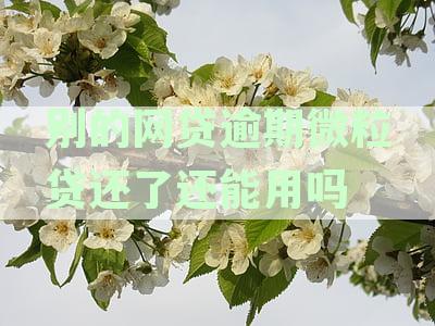 其他网贷逾期了，微粒贷还可以用吗？安全吗？没有逾期还完后，可以续借吗？