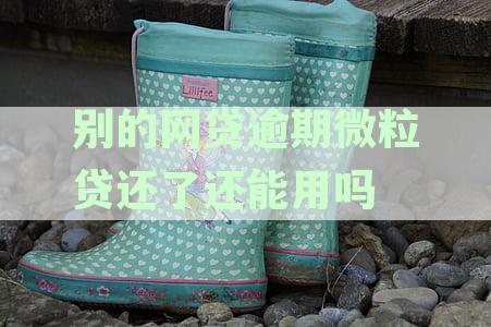 微粒贷逾期还款后是否可以续借？以及如何避免网贷逾期问题
