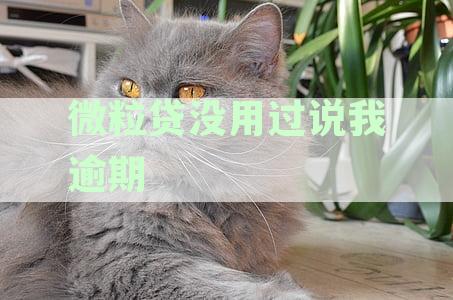 微粒贷没用过说我逾期了怎么回事？