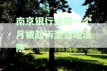 南京银行逾期一个月被起诉至当地法院怎么办？贷款逾期后的协商解决办法