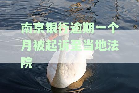 南京银行欠款逾期不还会面临怎样的法律后果及起诉风险？