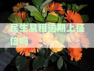 民生易租逾期还款是否会影响个人征信？了解详情上一个月资讯