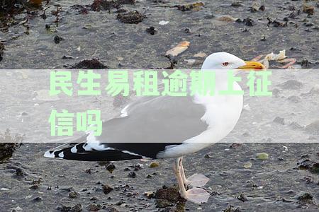 民生易租逾期上征信吗
