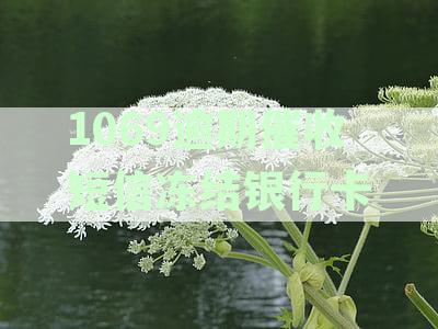 1069逾期催收短信冻结银行卡