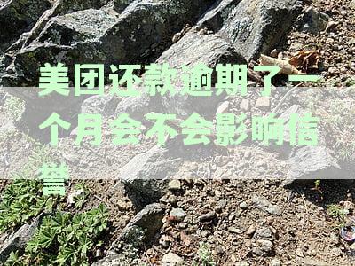 美团逾期一个月还款，再次借款是否可行？