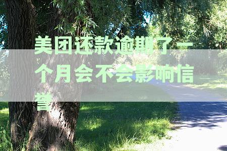美团逾期一个月后全款还清，是否可以立即获得贷款？如何操作？