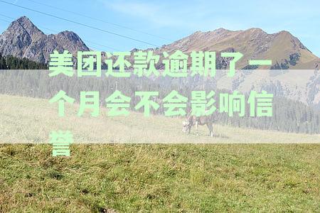 美团还款逾期了一个月会不会影响信誉