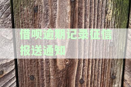 关于消除逾期借呗记录的详细操作指南 - 不使用支付宝或逾期的解决办法
