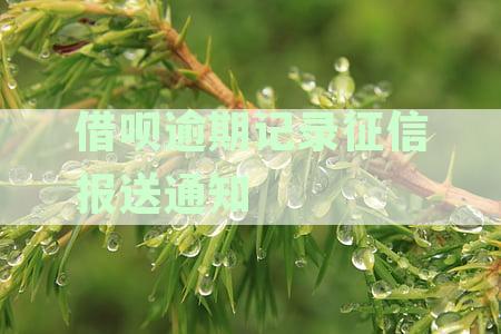 借呗逾期记录征信报送通知怎么写： 金融信息中包含的借呗逾期记录报送