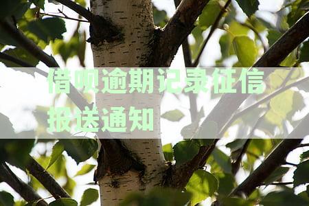 借呗逾期记录征信报送通知
