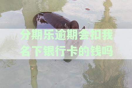 分期乐逾期未还款可能导致银行卡冻结，名下所有账户受限