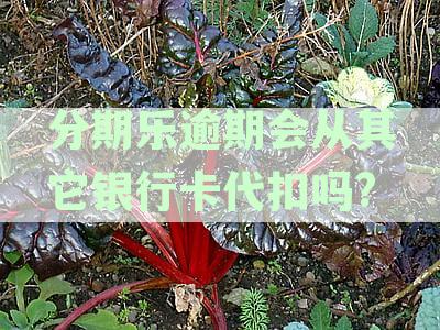 分期乐逾期后，银行卡是否会被冻结？如何避免银行卡被冻结？