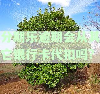 分期乐逾期会从其它银行卡代扣吗?