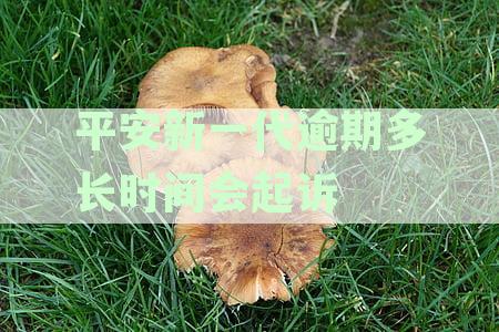 平安新一代逾期还款起诉处理全攻略：如何应对、预防与解决方法一文解析