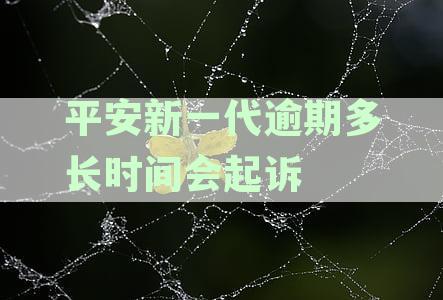'平安新一代还款宽限期：晚几天还款是否可行？'