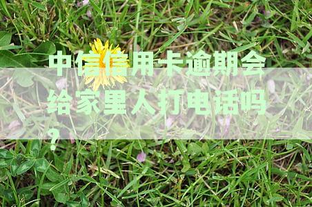 中信银行信用卡逾期还款困扰：如何避免家人被电话打扰？