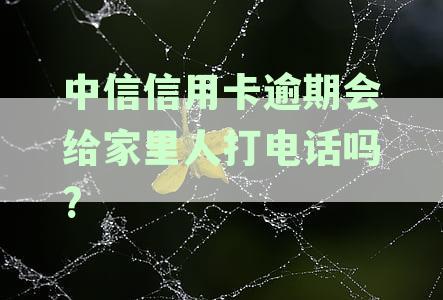 中信逾期了可以打电话去银行协商还款吗-打95188转2协商逾期的事情