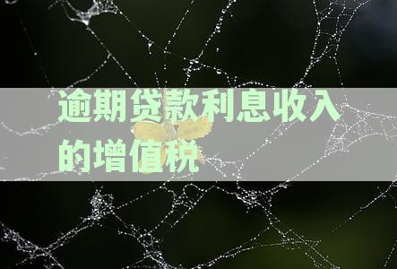 逾期贷款利息收入的增值税处理方法及相关注意事