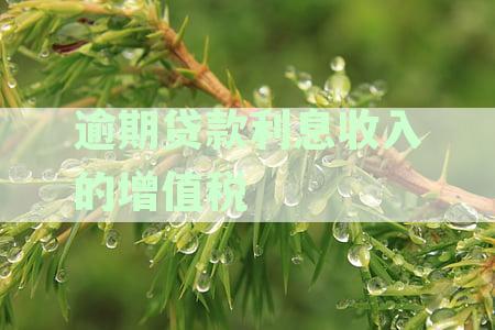 逾期贷款及其相关税收问题：增值税、所得税处理解析及金融企业法律应对