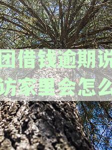 美团借钱逾期12天，村委真的会介入吗？当地催收电话不断，该怎么办？