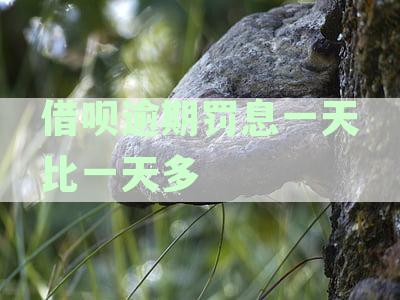 借呗逾期罚息不断累积，如何有效应对并减少损失？