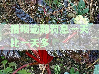 借呗逾期罚息急剧攀升：一天利息翻倍，背后原因何在？