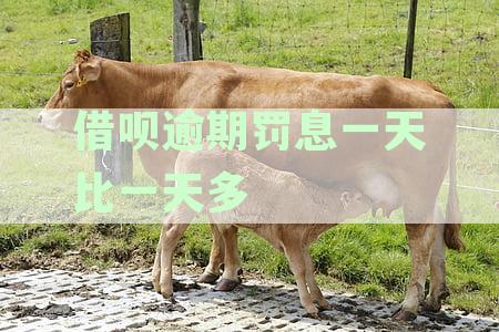 关于借呗逾期还款，了解罚息计算及应对策略的全面指南