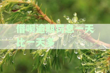 借呗逾期罚息是不是一息会涨：减少罚息、利率计算与收取方式解析