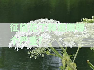 征信花了跟逾期一样吗？有什么区别和影响？