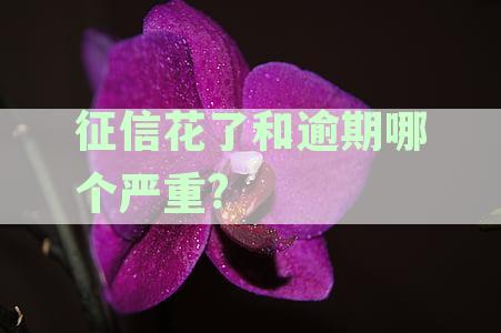 征信花了和逾期哪个严重?