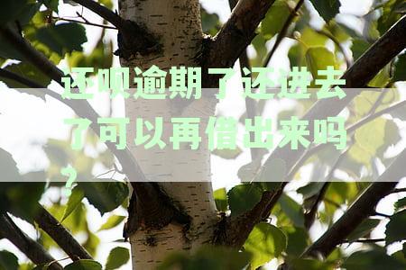 还呗逾期后还款，是否可以再次借款？以及相关注意事一览！