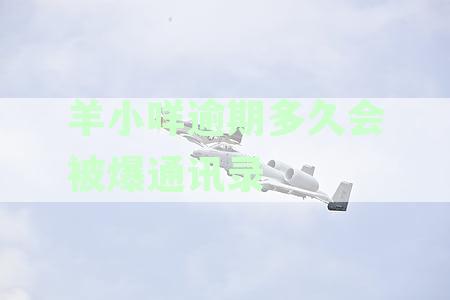 羊小咩逾期多久会被爆通讯录