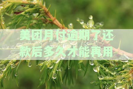 美团月付逾期还款后果：是否影响个人征信，如何避免不良信用记录？