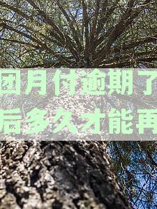 美团月付逾期还款后恢复使用，多久能继续使用？