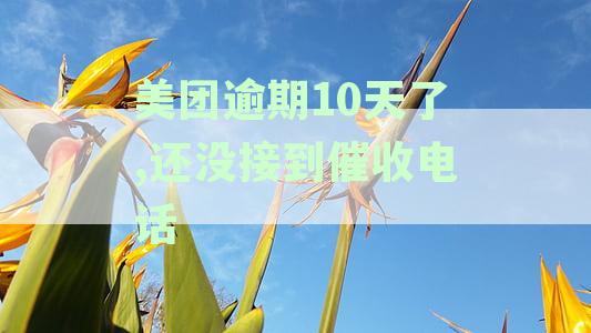 美团逾期60天催收员为何未联系我？用户可能关心的解答都在这里！