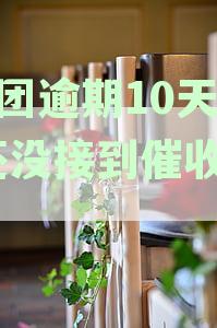 美团逾期11天未通知，如何应对？