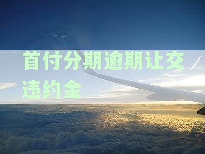分期首付逾期交违约金是否合法？了解相关法律规定及解决方法