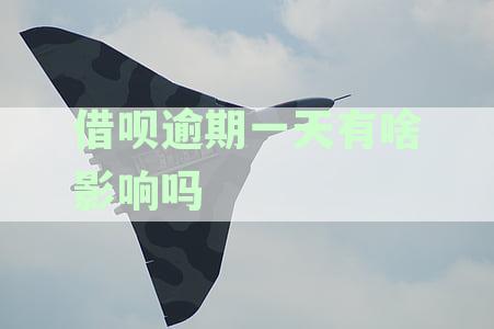 借呗逾期一天是否会对个人征信产生影响：解答疑惑