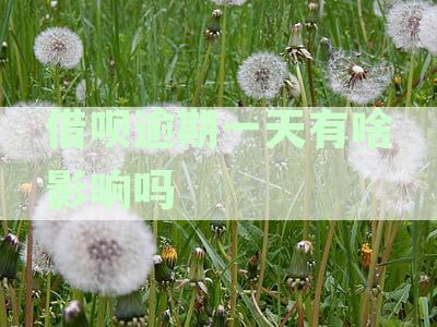 借呗逾期一天的后果及解决方案，全面解答用户疑问