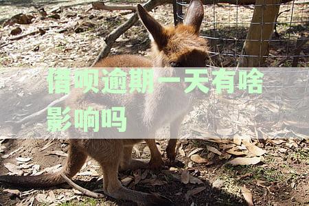 借呗逾期一天还款的影响与提前还清后再次借款的可能性