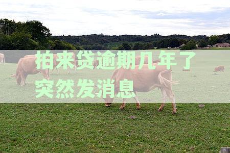 拍来贷逾期几年了突然发消息